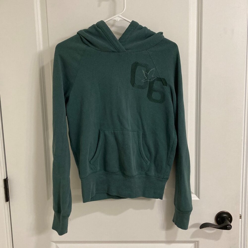 Forest Green Aerie Sweatshirt